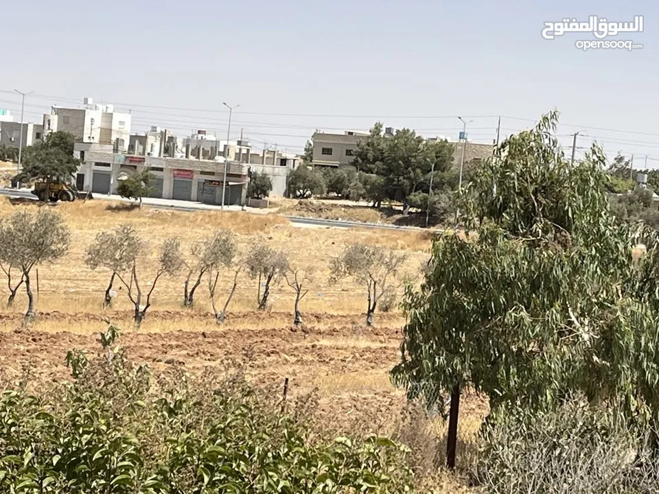 ارض للبيع او للمشاركة في استثمارها