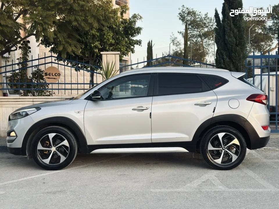 احمد سامي مغنم