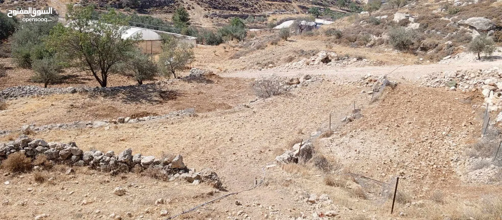 ارض مناسبة للبناء او الاستثمار او الزراعه