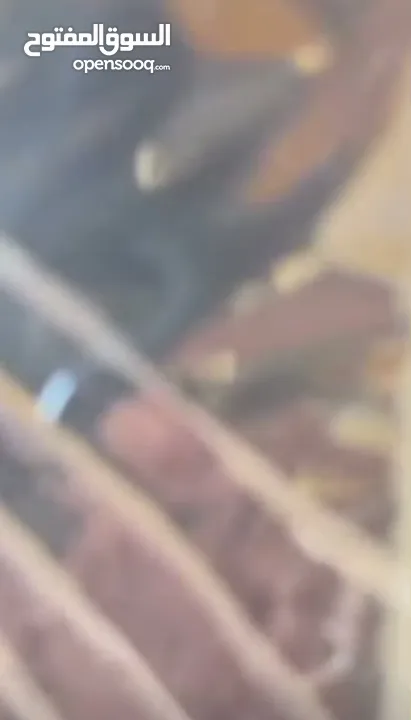 أثاث خارجي و حدائق