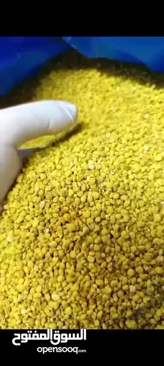 عسل طبيعي 100% وجميع منتجات النحل شركة كاشور للعسل الطبيعي تقدم لكم الأفضل دائما