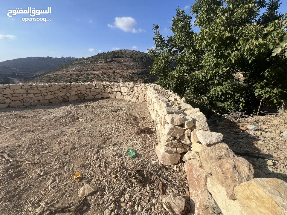 عجول قطعة ارض مساحتها 811 متر كوشان طابو مستقل سلطة أ تنازل فوري