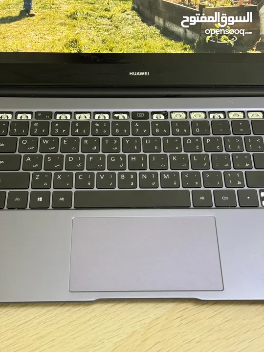 لابتوب هواوي matebook d14