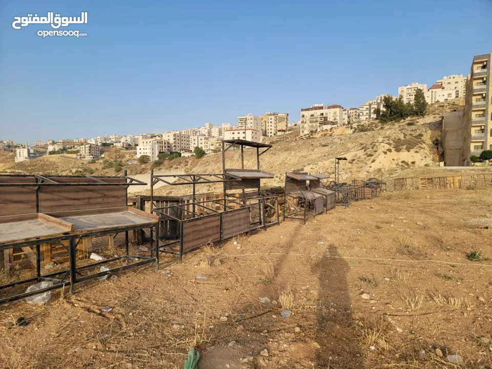 ديكورات وستاندات محل خضار ومحمص