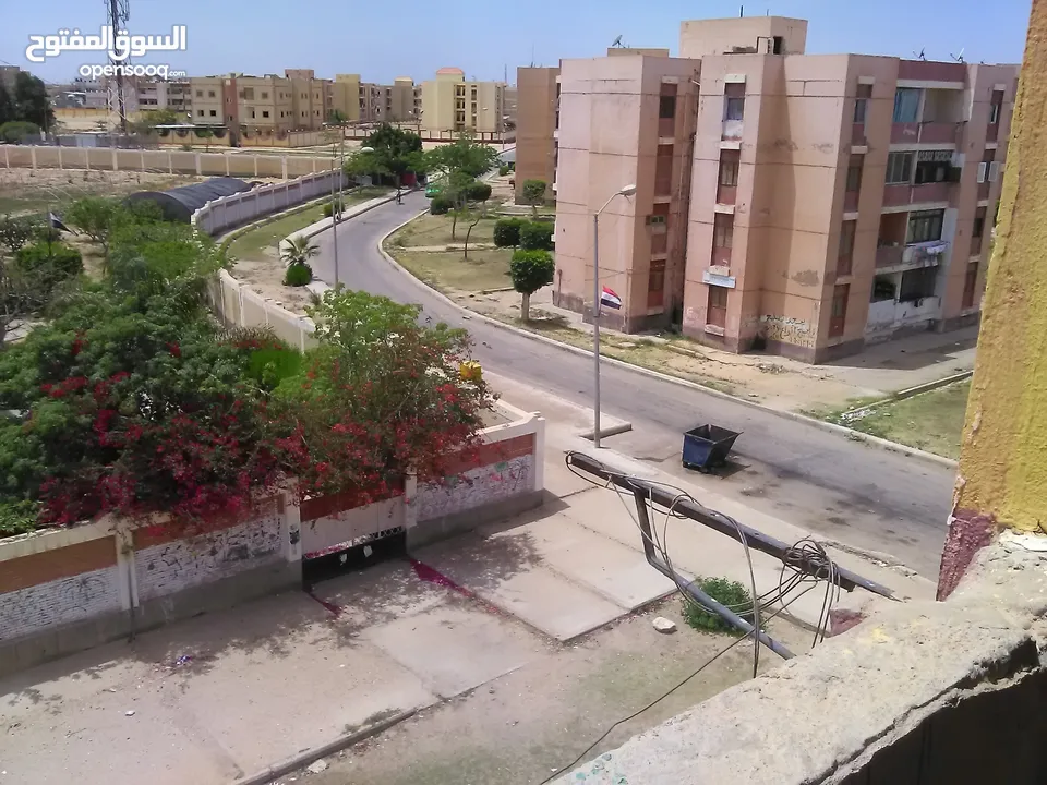 شقة للبيع بمدينة السادات عقد بيع صحة توقيع حكم محكمة