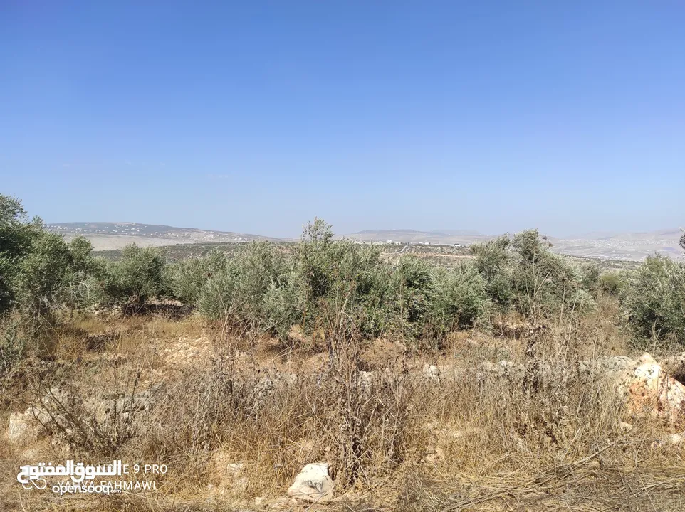 ارض للبيع بعملة الشيكل فى عصيرة الشمالية