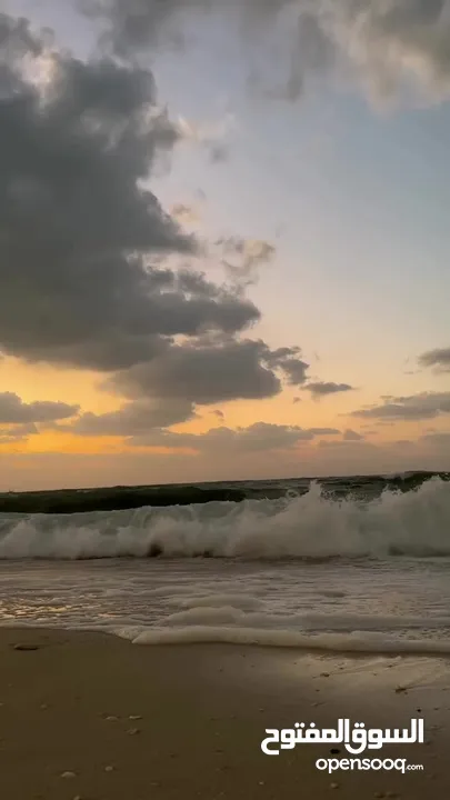 للبيع عربة طعام food truck on beach و مطعم مقابل الشاطئ مكان حصري ومميز جدا على البحر