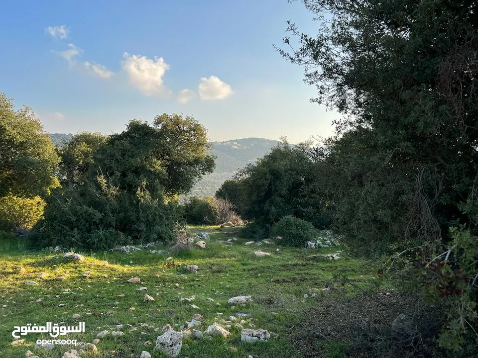 قطعة أرض مميزة جدا جدا و ذات إطلالة خلابه