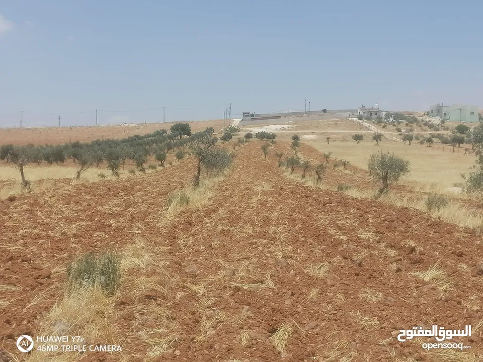 ارض للبيع مساحه 3400م قوشان مستقل مفروووز