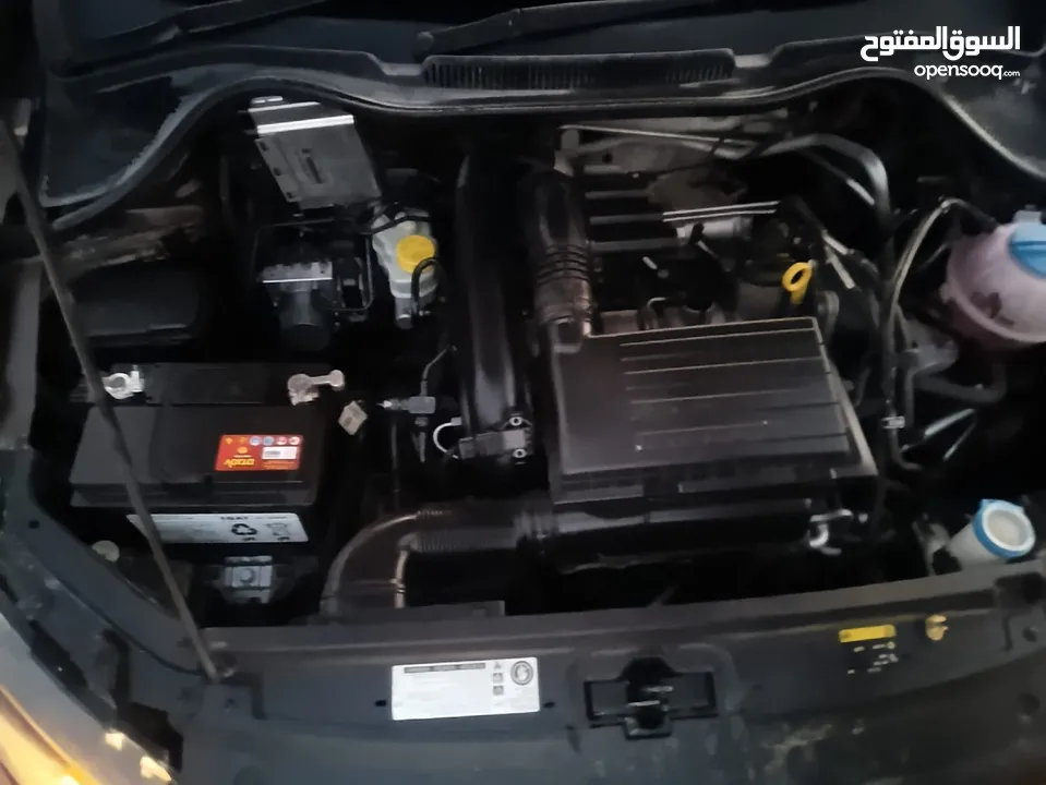 بولو جير عادي الحبة النادرة باللون و الجمال و الفحص