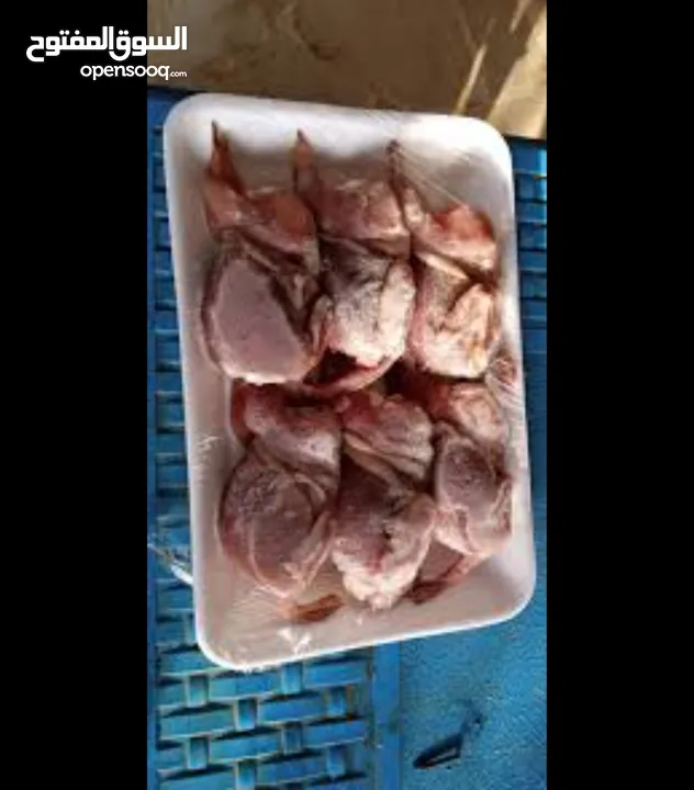 فري مذبوح جاهز