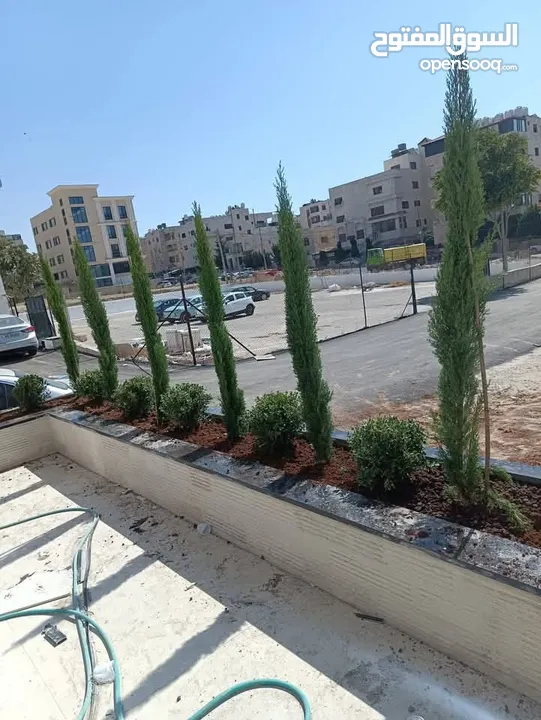 مشاتل الرويال لزراعه ومتابعه الاشجار