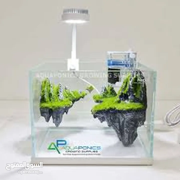 smart fish tank