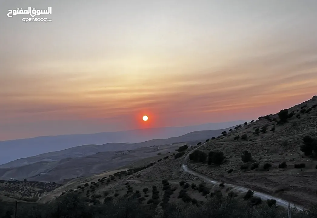 تملك الان فرصة العمر قطعة ارض من اراضي غرب عمان مطلة على فلسطين و الاغوار و البحر الميت و سد الكفرين