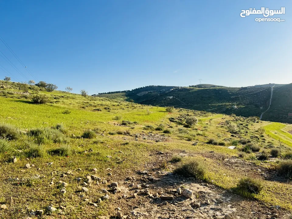 بسم الله الرحمن الرحيم  ارض للبيع في بيرين مساحة3400م2 مستويه إطلاله مميزه جدا شارع معبد