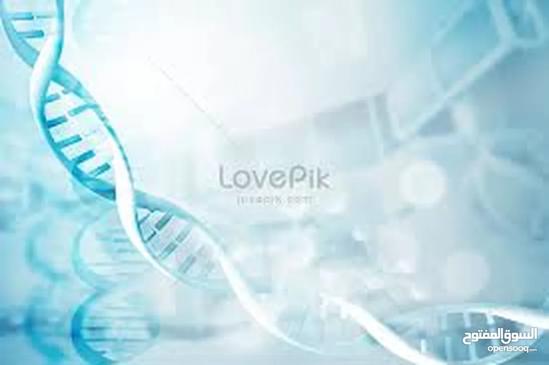 تدريس المواد الطبية لطلاب الطب والأسنان والصيدلية وعمل البحوث الطبية وتحليل البيانات