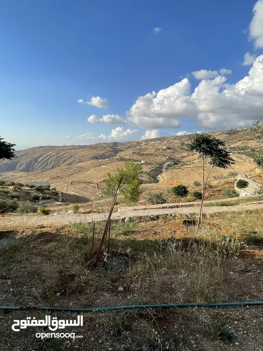 مزرعة في مغاريب السلط من المالك مباشرة