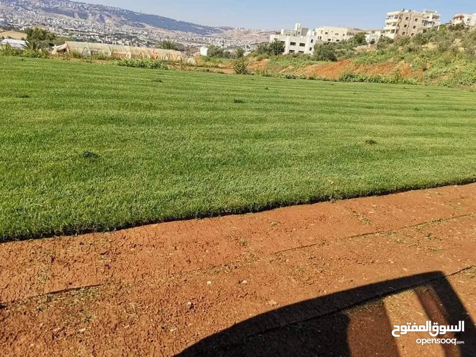 مشاتل الاندلس لانتاج وبيع جميع انواع الاشجار المثمره واشجار الزينه البلديه والمستوردة