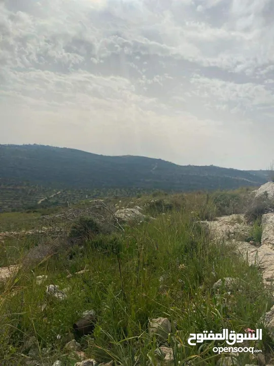 اطلالة مرتفعة طبيعية، على الشارع مباشرة، دير السودان، تصنيف الف - 900 متر و 1500 متر