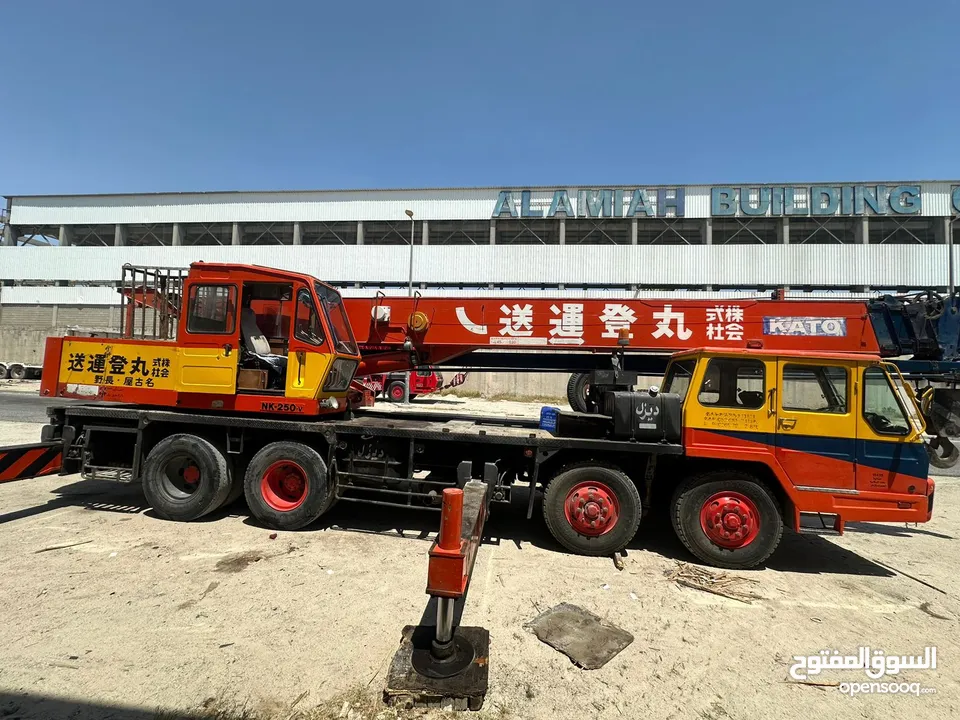 25 Ton crane for sale