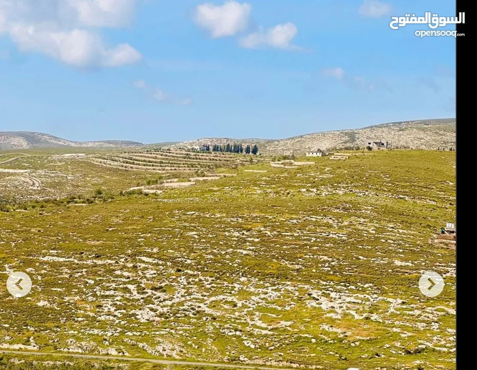 فرصة استثمارية ارض للبيع في جنيسينيا