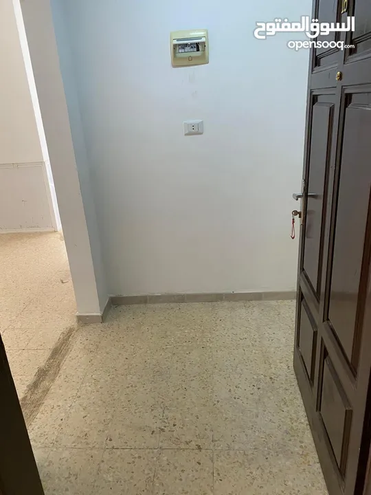 شقه للايجار