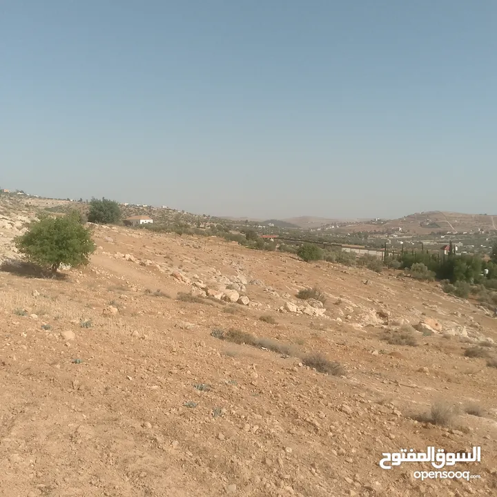 قطعة ارض شرق جرش مرويه من بئر ارتوازي مطله ومرتفعه بسعر مغري متوفر أكثر من 50 قطعه في نفس المنطقه