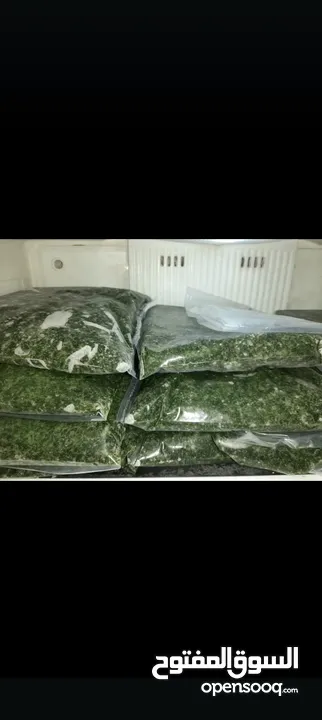 طبخات بيتية بايدي ماهرة مجموعة كبيرة من الحلويات الباردة والسخنة