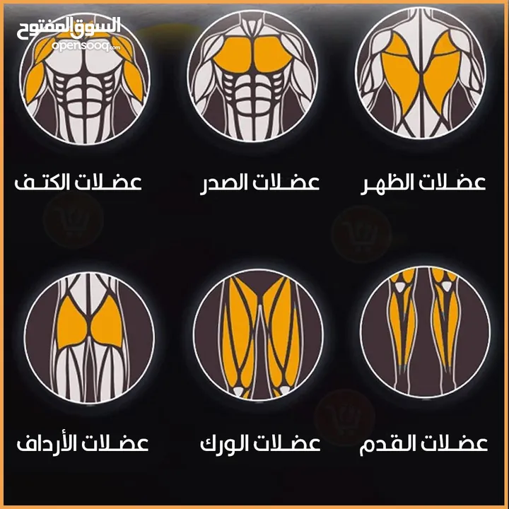 جهاز تمارين المعده الاكتاف و الصدر والورك و الارداف جهاز تمارين العضلات
