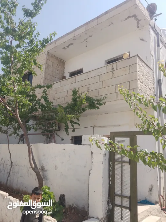 بيوت   طابقين   واحدة شقتين    والثانية ثلاث شقق