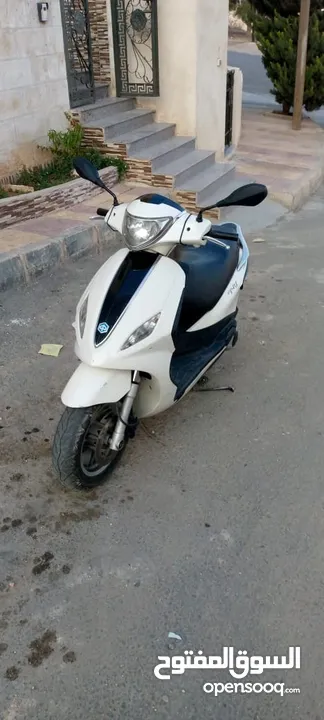 بياجو فلاي 2015