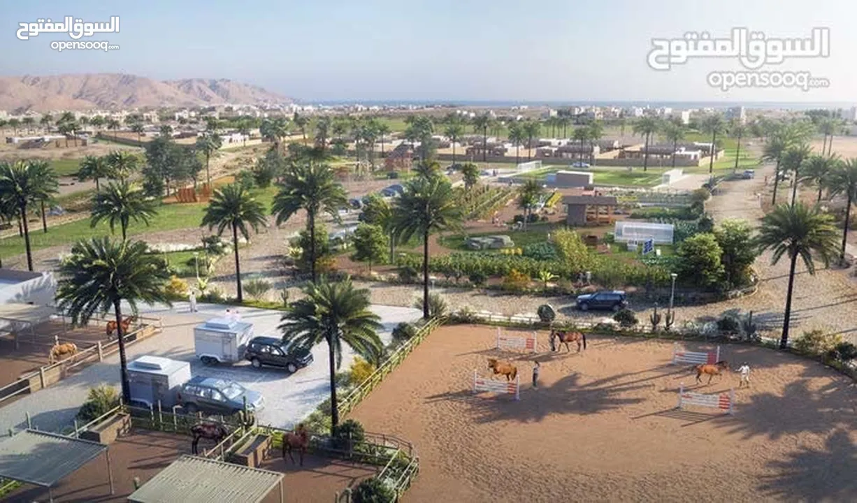 مزرعة بأفضل سعر في منتجع جبل السيفة  Farm at the best price in Jabal Sifah Resort