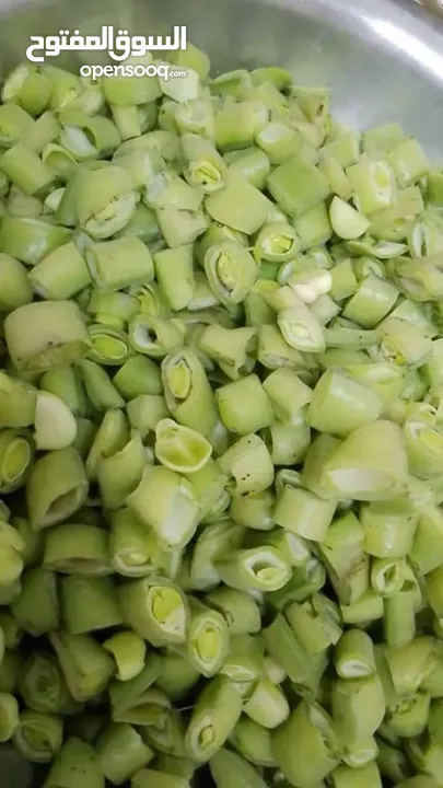 ملوخيه وورق عنب وفول وفاصوليا وسبانخ وخضار فروزن