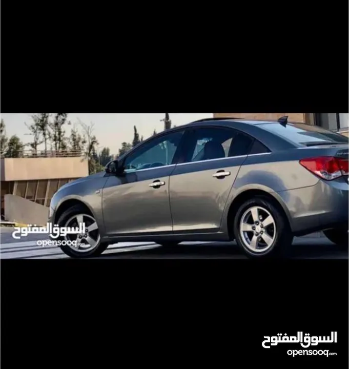 شفر كروز 2010