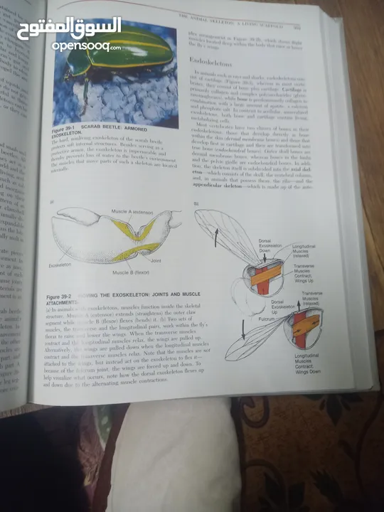 كتاب بعنوان biology