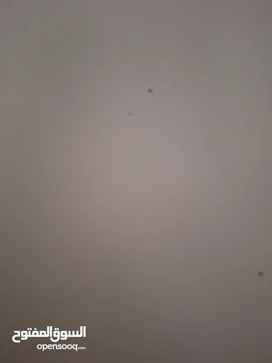 ابو محمد كارم