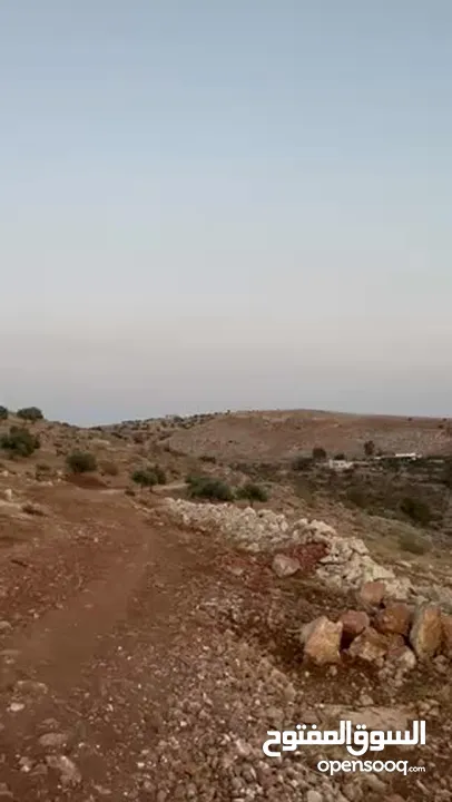 تملك الان فرصة العمر قطعة ارض من اراضي غرب عمان مطلة على فلسطين و الاغوار و البحر الميت و سد الكفرين