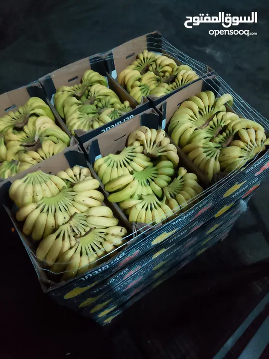 مشروع تجاري مربح بحاجه لتمويل