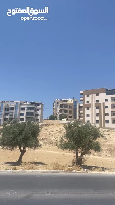 Strategic land for sale in marj al hammam ( Amman) - residential land