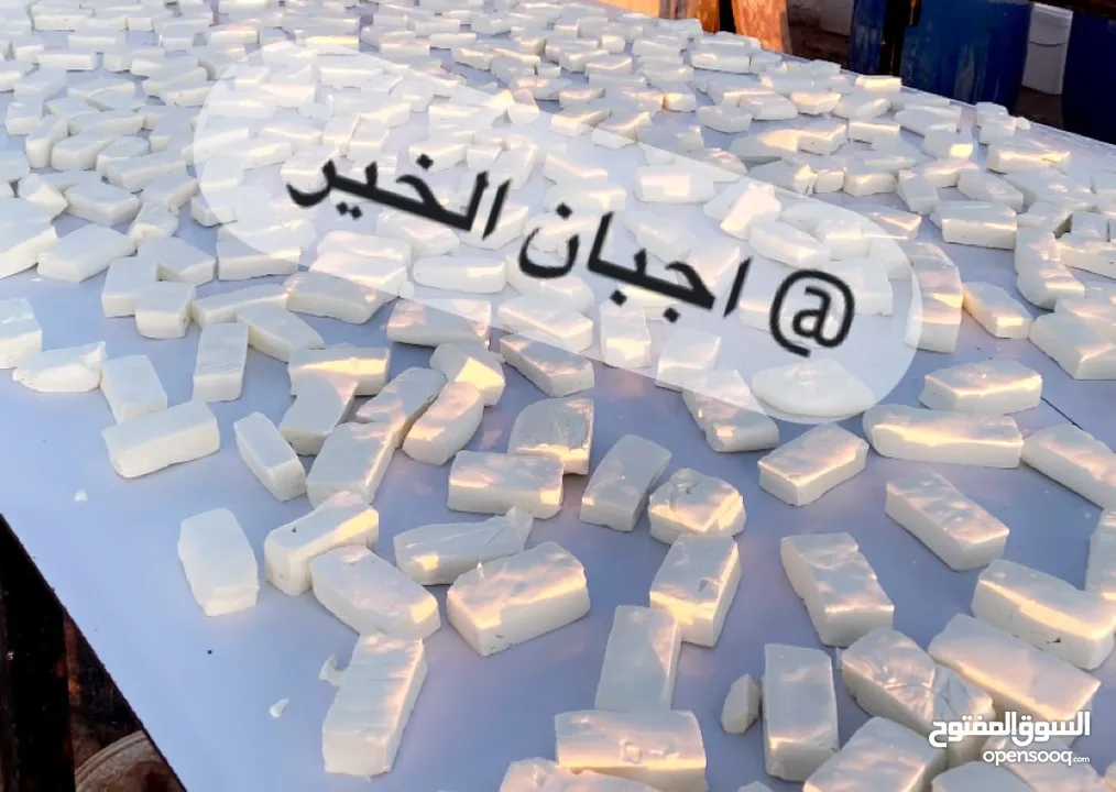 اجبان الخير  جبنه بيضاء بلديه حليب غنم صافي 100‎%‎ مكفوله