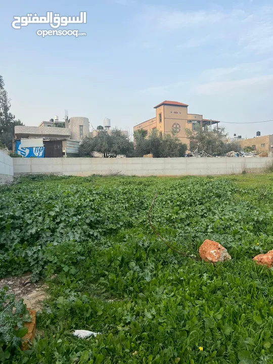 عمر دار خليل