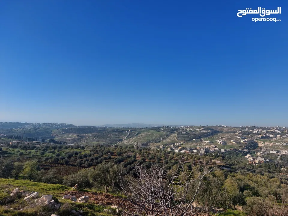 أرضي ناعور مرتفعة بسعر مغري جدا