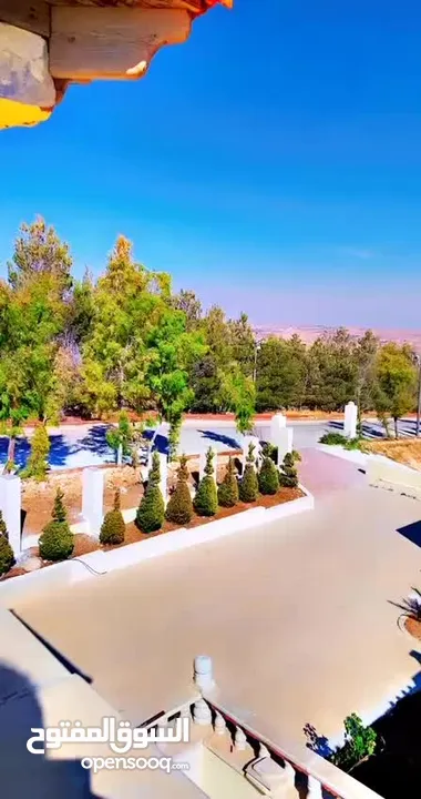 قصر على أعلى نقطة خربة الطوي على 10 دنمات