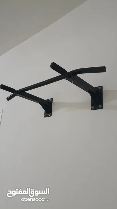 Wall Mount chin up bar