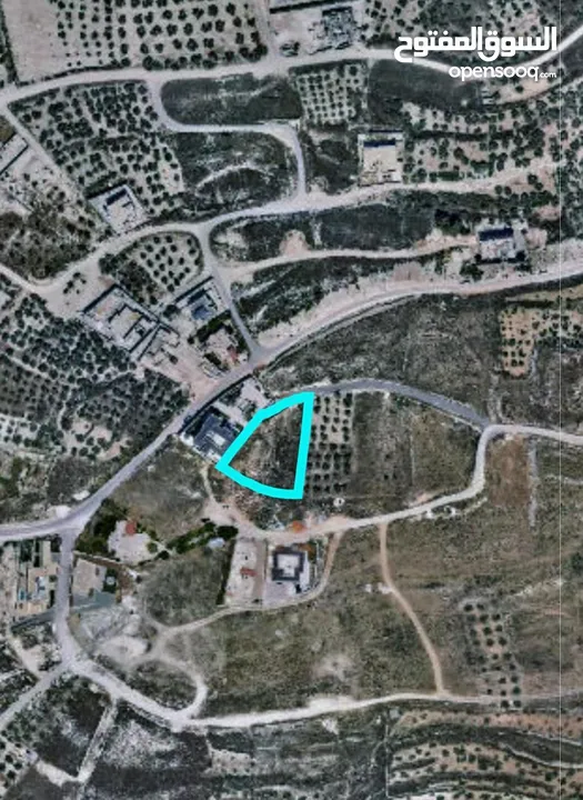 ارض 1700م2. بالعامريه. كوشان طابو  بسعر مغري مطله وكاشفه