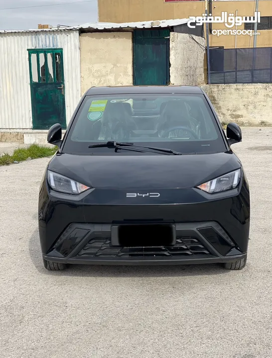 BYD سيجال 2024