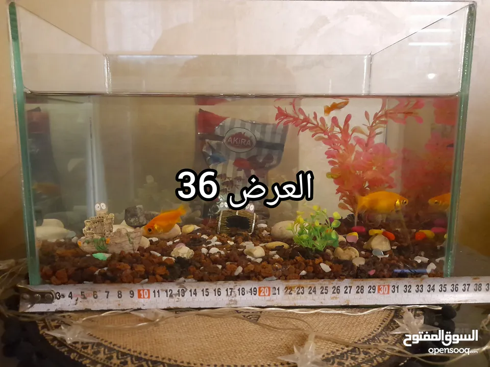 حوض سمك بسعر حرق اقرأ الوصف+عرض لفترة محدودة  بسعر حرق منافس للأخرين اقرأ الوصف