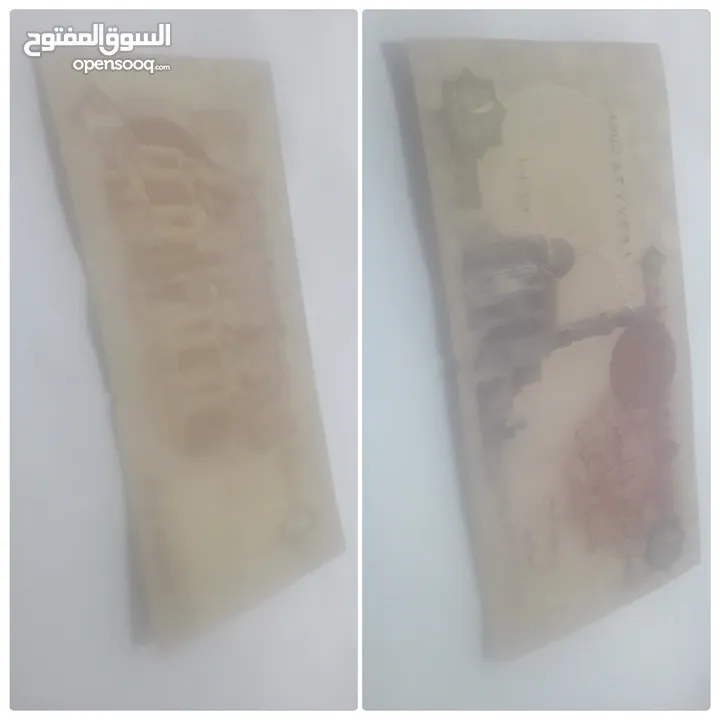 فور لاين اكس فور