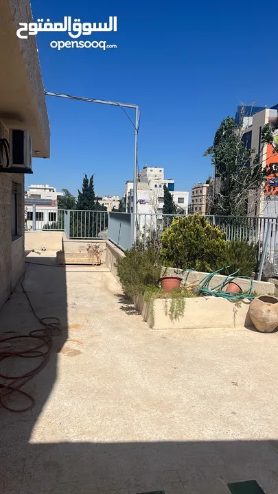 شقتين لطابق اخير للبيع / الايجار