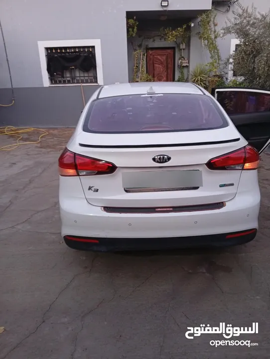 طمون انس عوده